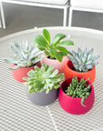 warm palette | swipp 4 | silicone unbreakable pot planter