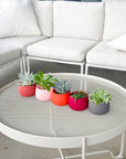 warm palette | swipp 4 | silicone unbreakable pot planter