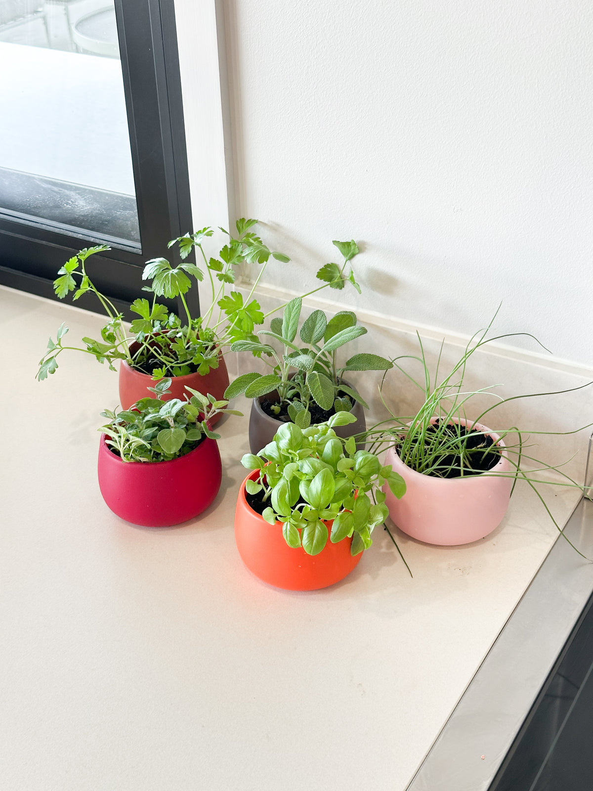 warm palette | swipp 4 | silicone unbreakable pot planter