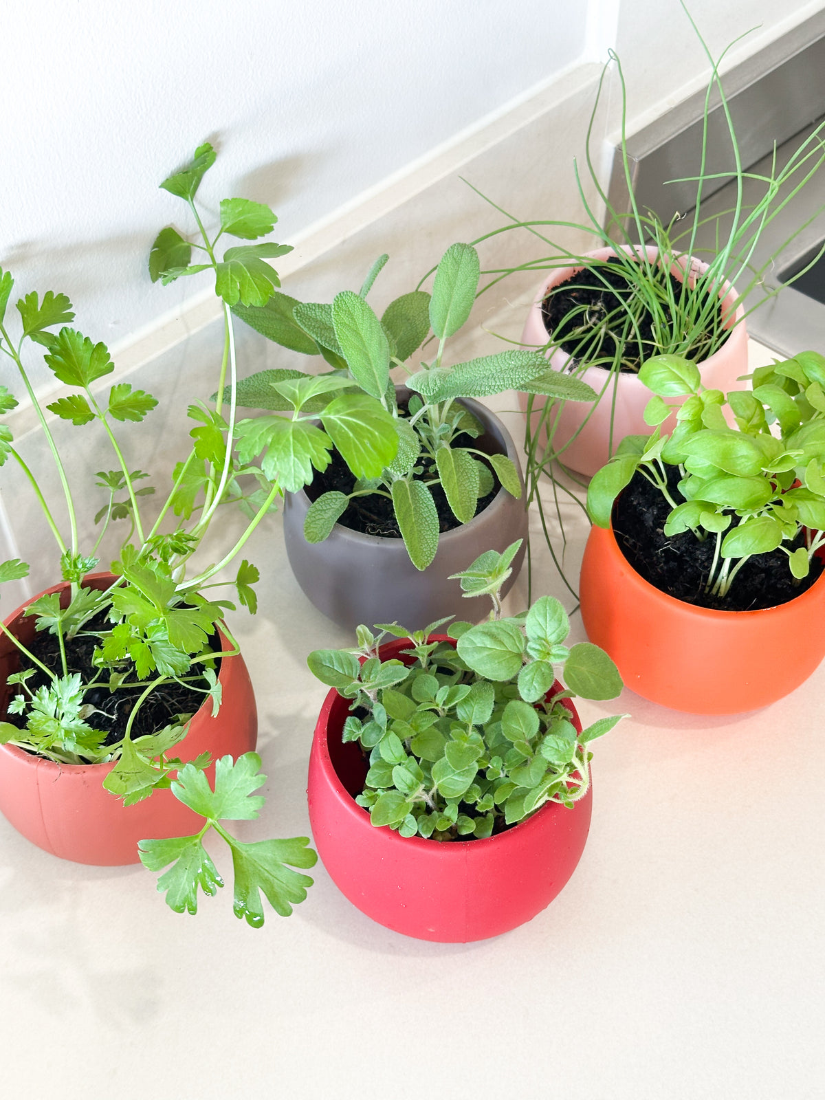 warm palette | swipp 4 | silicone unbreakable pot planter