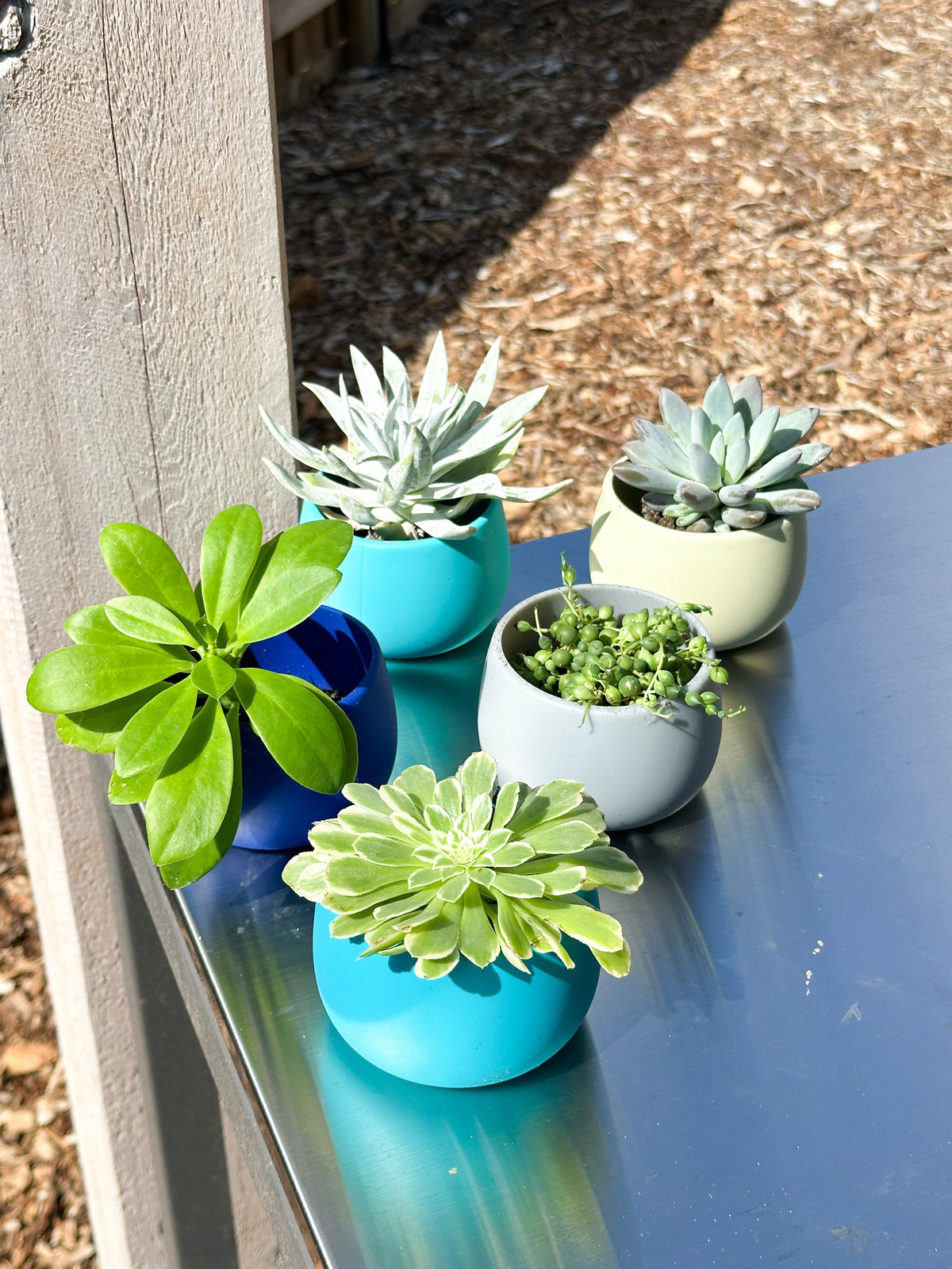 cool palette | swipp 4 | silicone unbreakable pot planter