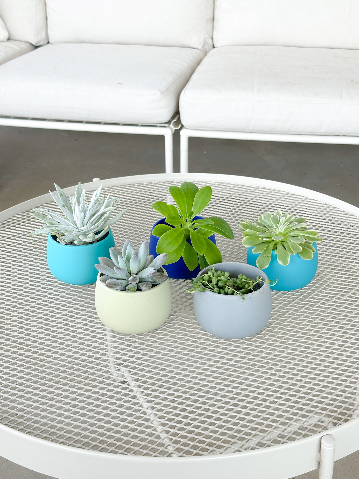 cool palette | swipp 4 | silicone unbreakable pot planter