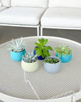 cool palette | swipp 4 | silicone unbreakable pot planter