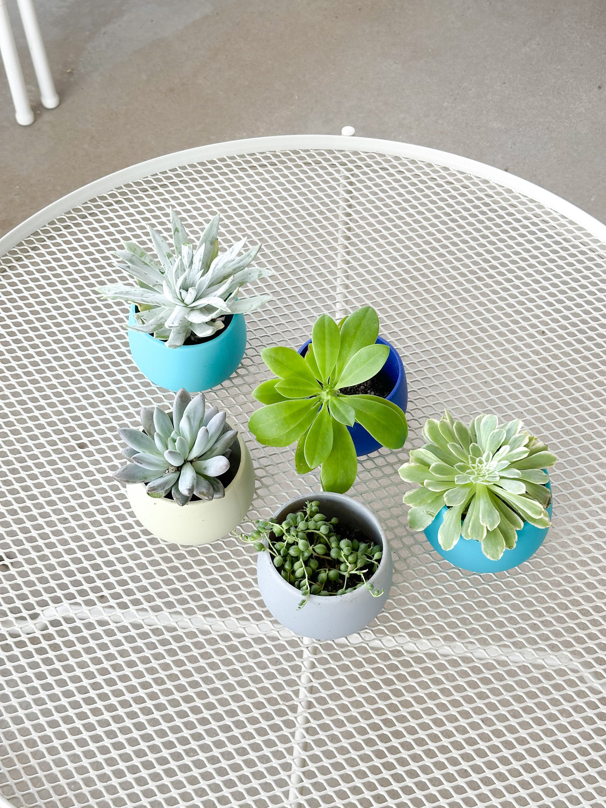 cool palette | swipp 4 | silicone unbreakable pot planter