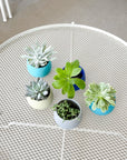 cool palette | swipp 4 | silicone unbreakable pot planter