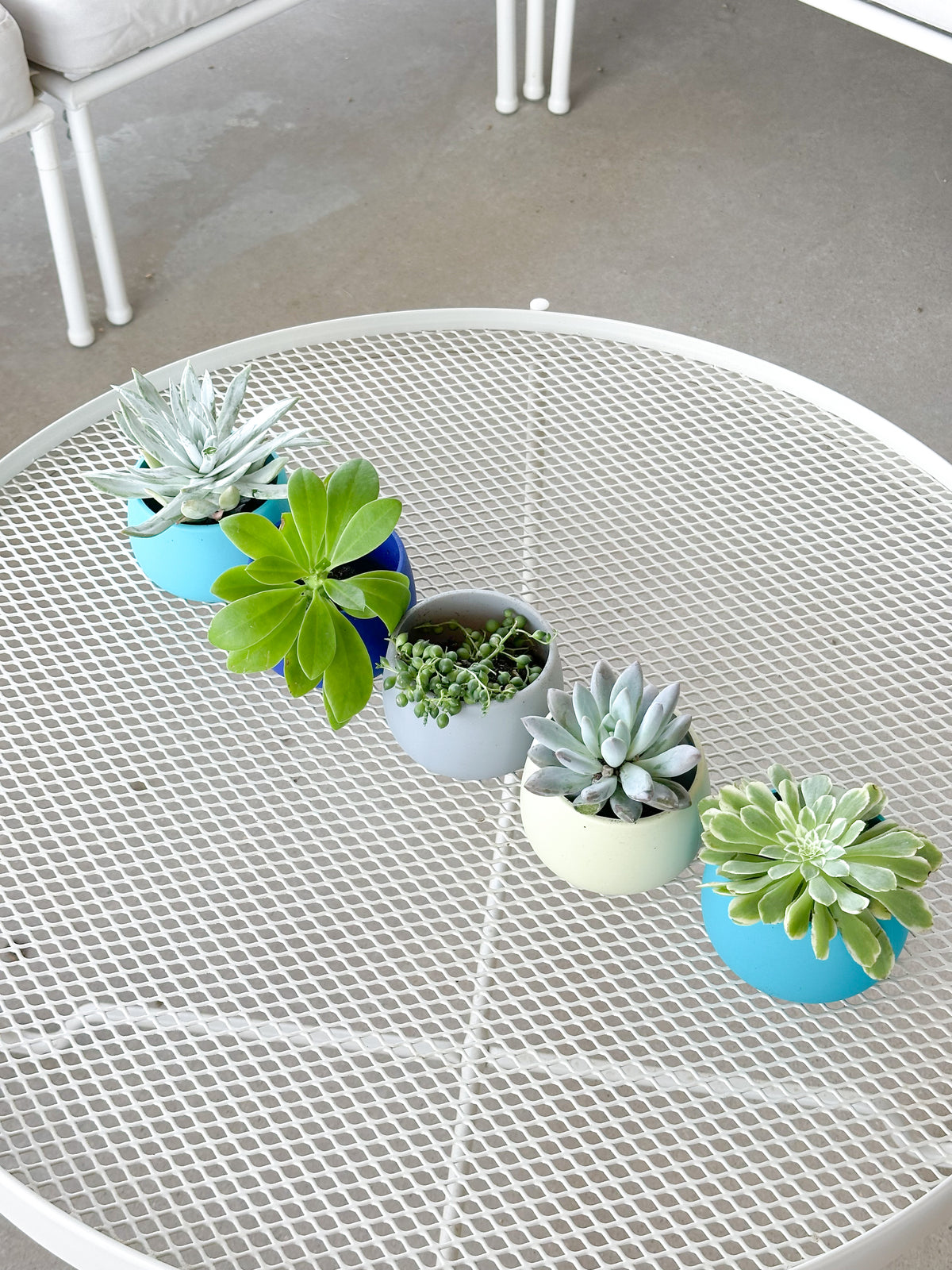 cool palette | swipp 4 | silicone unbreakable pot planter
