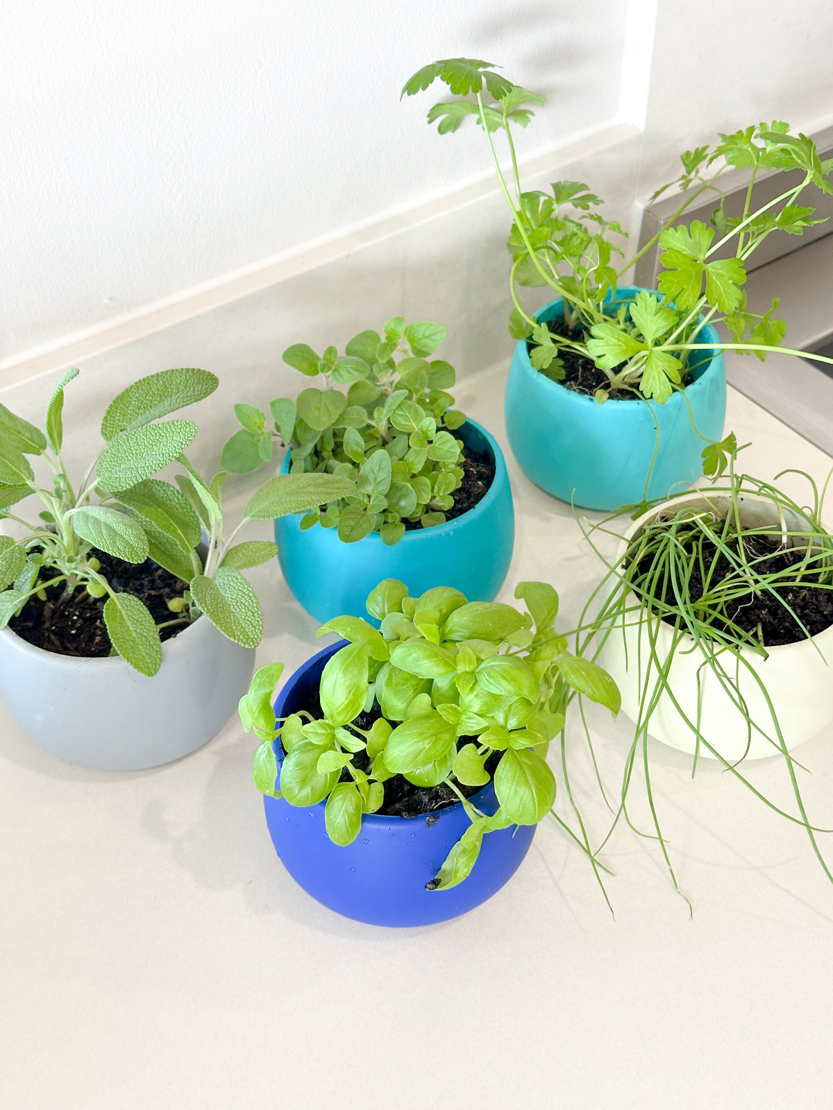 cool palette | swipp 4 | silicone unbreakable pot planter