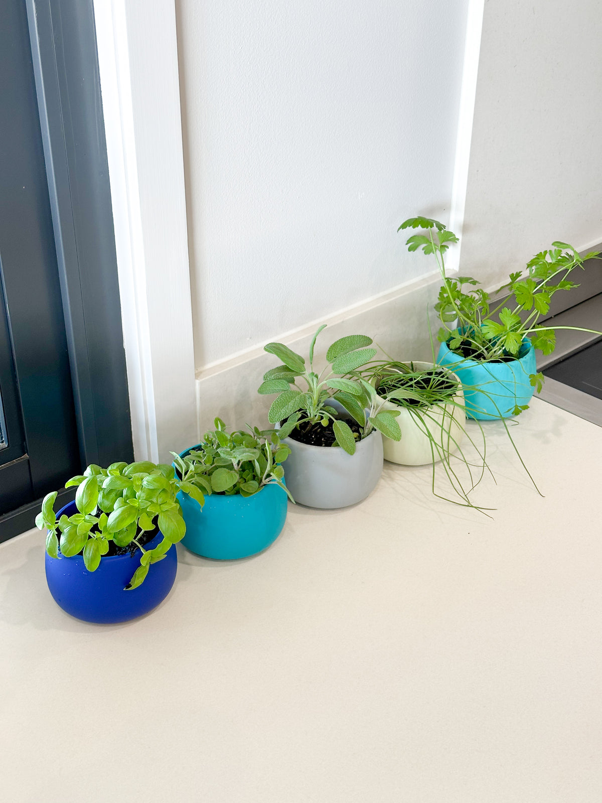 cool palette | swipp 4 | silicone unbreakable pot planter