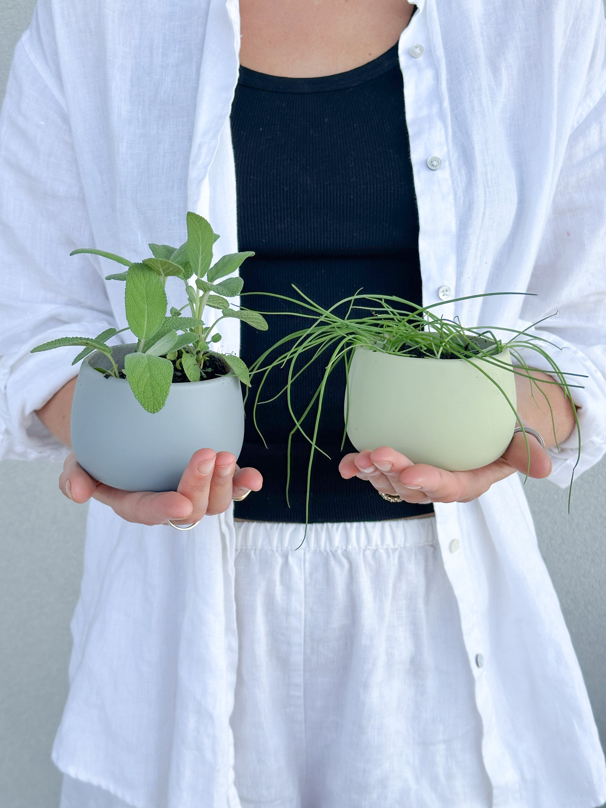 cool palette | swipp 4 | silicone unbreakable pot planter