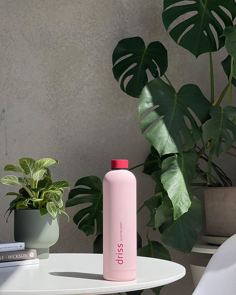 cherry + blush | driss | insulated stainless steel water bottle | porter green, 1l water bottle, insulated stainless steel water bottle, thermos water bottle, 1l drink bottle, insulated wine bottle